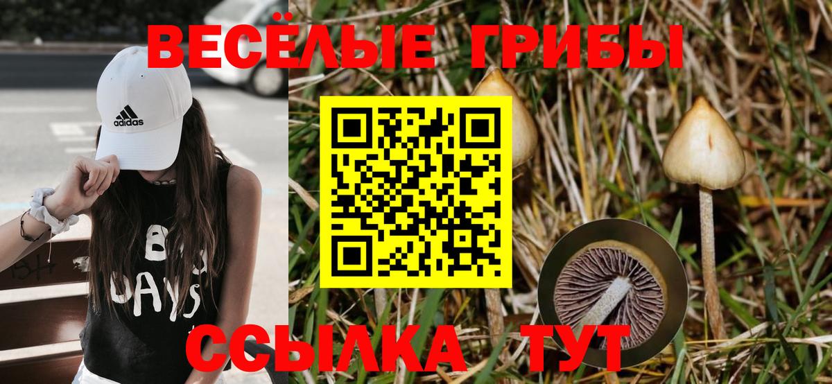Галлюциногенные грибы ЛСД  Псилоцибиновые грибы Psilocybine cubensis  купить наркоту  Вход с VPN  Муром 