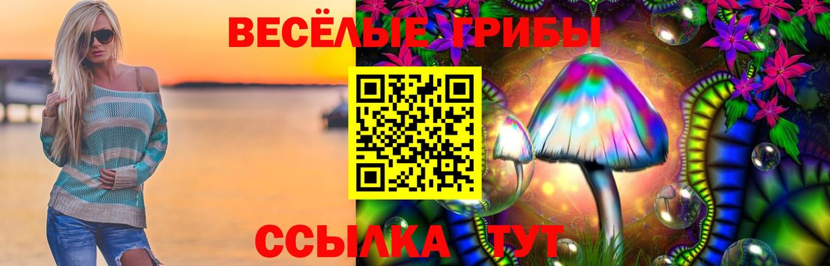 Галлюциногенные грибы Cubensis Муром